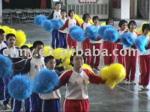 Promotion team sports plastic cheerleading pom poms