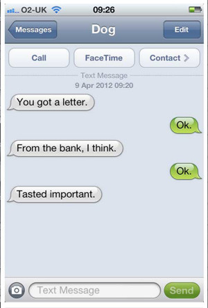 The Funniest Bulldog Internet