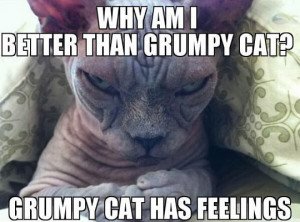 Why Sinister Cat is better than Grumpy Cat…