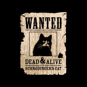 SchrodingersCatWanted_sq.jpg