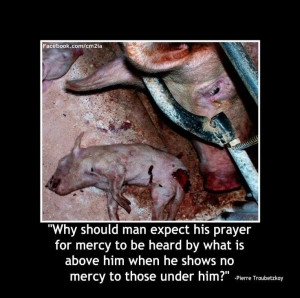 How can we continue to murder innocents? We are destroying the earth ...