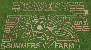 Corn Maze Summers Farm