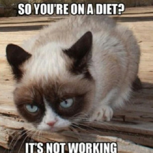 grumpy cat quotes grouchy quotes grumpy cat jokes for more hilarious ...