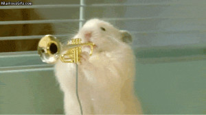 Hamsters playing instruments
