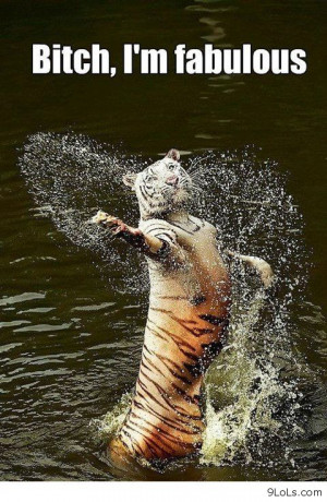 awesome pictures, daily quotes, derp and derpina, funny animals, funny ...