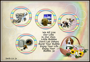 My Beagle Smiles,My Poems My Quotes