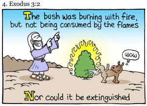 Quotes From The Dogs Version Of The Bible | The Cartoon ...