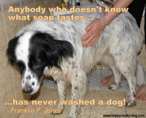 Funny dog quote about bathing a dog