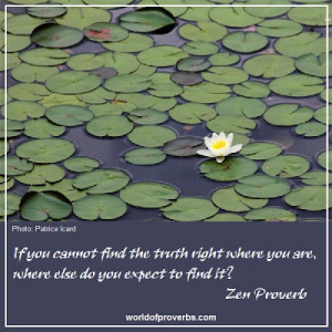 where else do you expect to find it?