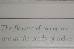 Hand painted quote on wall I painted