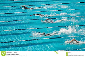 Stock Images: Competitive Swimming