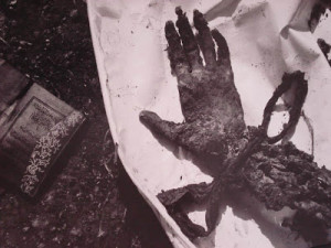 Srebrenica Genocide Blog