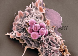 ... quotes found use search from below to search another free quotes