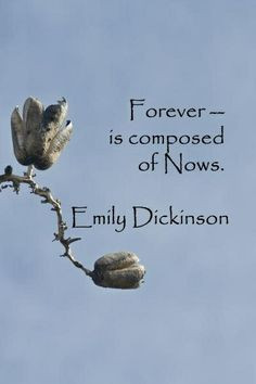 Emily Dickinson Quotes On Writing | Forever – is composed of Nows ...