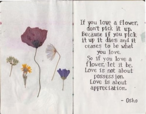 If you love a flower, don’t pick it up. Because if you pick it up it ...