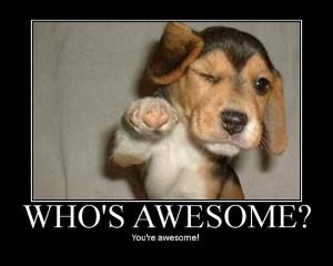 You're awesome !