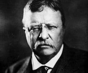 Teddy Roosevelt Quotes HD Wallpaper 6