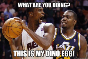 Related Pictures chris bosh google soft
