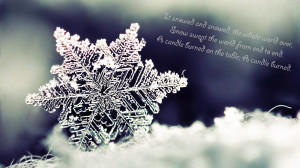 Best winter quotes