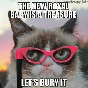 The Royal Baby is a Treasure - Grumpy Cat Fanart