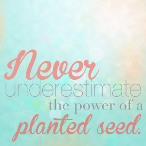 ... power of a planted seed {and i’m not talking about flower seeds
