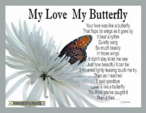 Butterfly Quotes Comments and Graphics Codes!