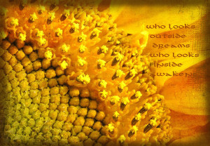 Sunflower mixed with frame Sunflower Quotes