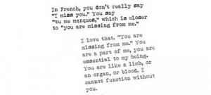 Quotes in french about love with english translation