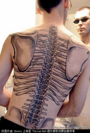 脊柱、肩胛骨、肋骨、骶骨纹身