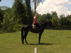 Last Edited By: skye Aug 16 09 11:29 PM.Edited 2 times.