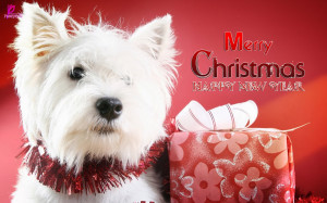 Dog Santa Xmas Gift Merry Christmas Wishes with New Year Greetings ...