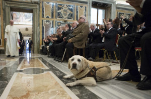 guide dog is seen as Pope Francis arrives to attend a special ...