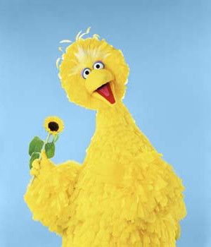 Big Bird Quotes and Sound Clips