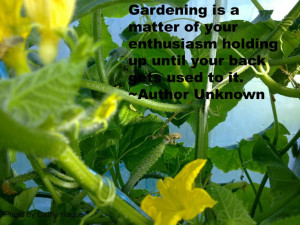 Funny garden quotes #gardening