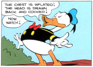 Donald Duck Shorts