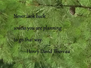 quote from Henry David Thoreau (on his birthday!)