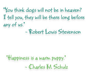 Faithful Dog Quotes http://www.animal-world.ca/dogs.php