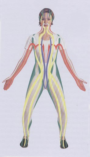 energy channels of human body
