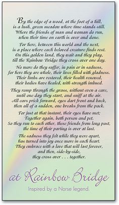 The Rainbow Bridge Poem, I received this poem from the vet after I had ...