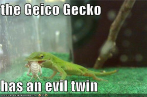 Related Pictures the geico gecko and the insurance agent logo