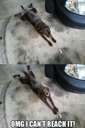 Return to Funny Pictures – 44 Pics