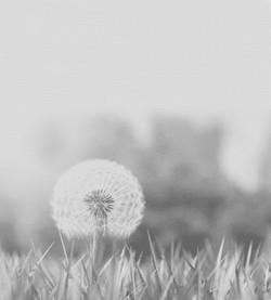 love relationship Black and White quotes My art Personal Grunge true ...