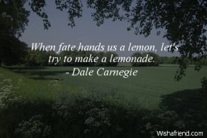 fate-When fate hands us a lemon, let's try to make a lemonade.