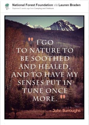 ... And Healed And To Have My Sense Put In Tune Once More - Camping Quote