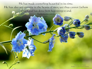 Ecclesiastes 3:11-12 -Creator of Everything Beautiful Papel de Parede ...