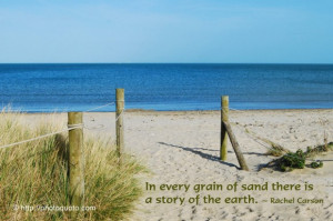 In every grain of sand there is a story of the earth. ~ Rachel Carson