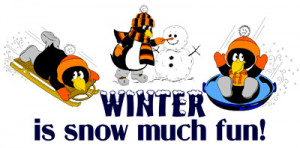 Winter Is Snow Much Fun!