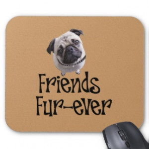 Friends Fur Ever Animals Quote
