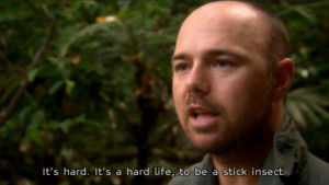 ... include: animals, funny, quotes, karl pilkington and an idiot abroad