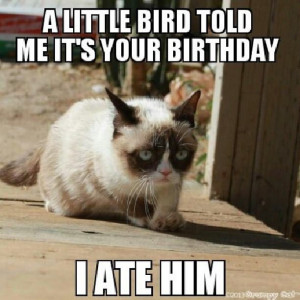 There you go, 8 new Grumpy Cat Memes. If this has improved your mood ...
